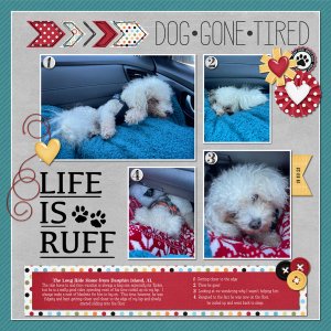 Tucker + the Long Trip Home