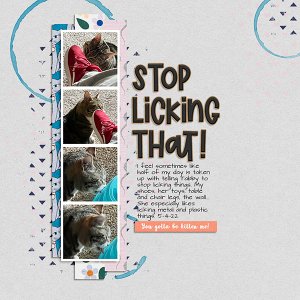 Stop Licking That