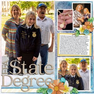 FFA State Degree