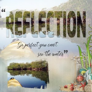 Reflection
