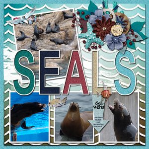 Seals