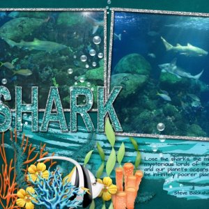 Shark