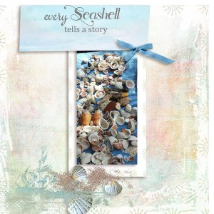 Seashells - Use It All - June 2022