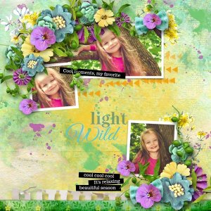 Light Wild