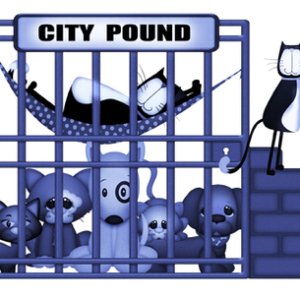 Cat Burglar to the Rescue