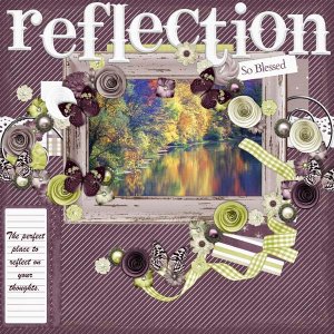 Reflectionprev