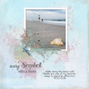 Every Seashell