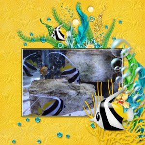 June Buffet Challenge