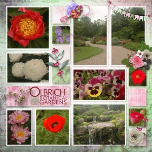 Olbrich Left