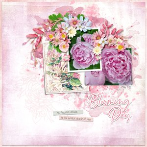 Blooming Day
