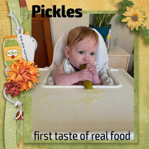 First_Food_Wren