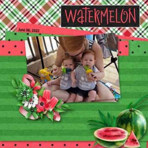 Watermelon_Wren