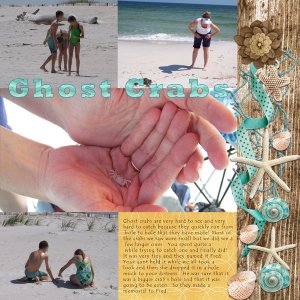 Ghost Crabs
