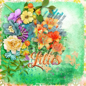 Lilies4