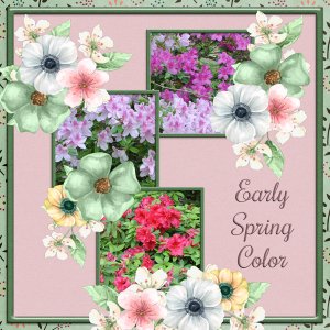 600-adbdesigns-a-gentle-spring-poki02