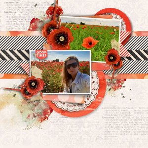 Poppy field