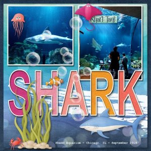 Shark_Jun22_Template_Challenge1