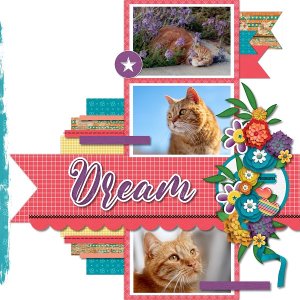 Kitty Dream
