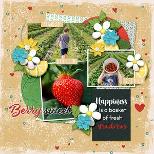 U-Pick Strawberries