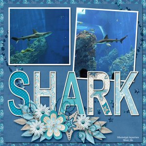 Shark Template Challenge