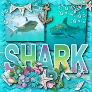 Shark