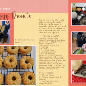 Doggy Donuts
