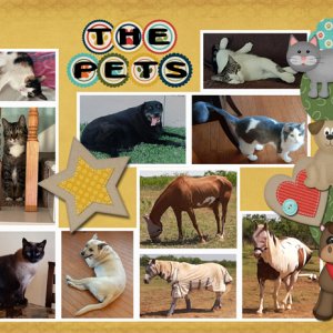 The Pets