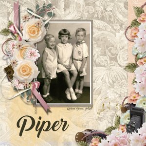 Piper