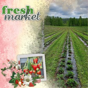 Strawberry field