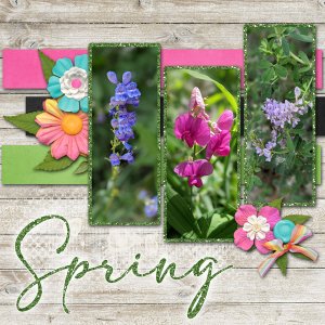 Spring flowers