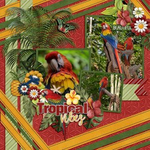 Tropical Vibes