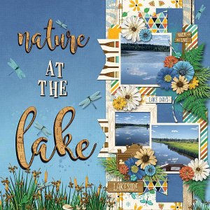 Nature at the Lake