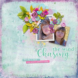 Chasing The Wind