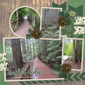 Trail of Cedars