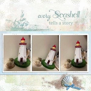 Every Seashell tells a story