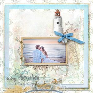 Every Seashell Tells A Story