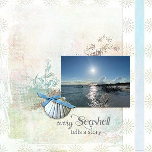 Seashell