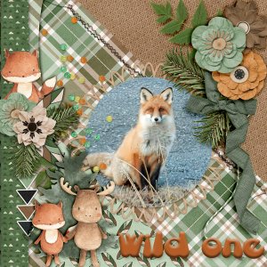 Wild-one