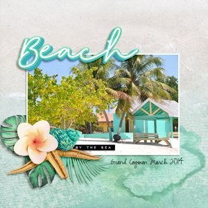 beach