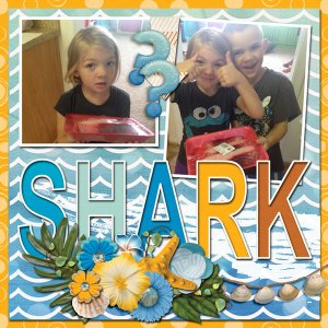 Shark?