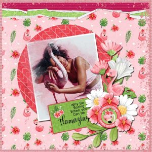 Flamingo Road