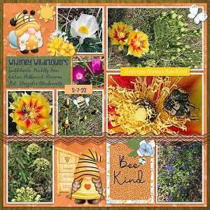 GSBuffetCh622-WhitneyWildflowers5722