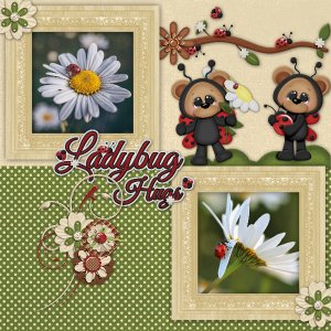 Ladybug1