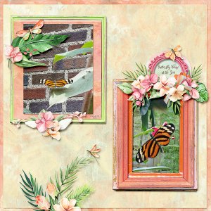 Butterfly House