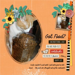 Got Food?