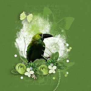 MM_ItsAGreenThing_01psd_kopie_776_ren