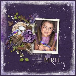 Bird Poetry