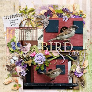 Bird Song