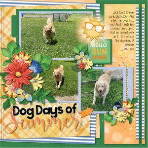 Dog Days of Summer