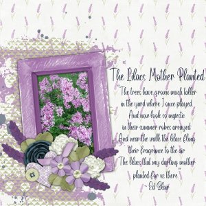 The Lilacs Mother Planted